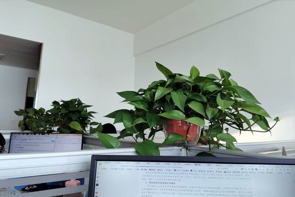 濟(jì)南市生態(tài)環(huán)境局市中分局多措并舉落實(shí)環(huán)境監(jiān)測(cè)管理辦法！