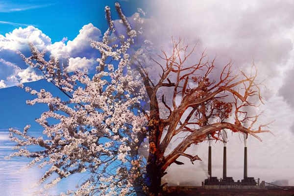 環(huán)境監(jiān)測國家標準滯后于技術應用？