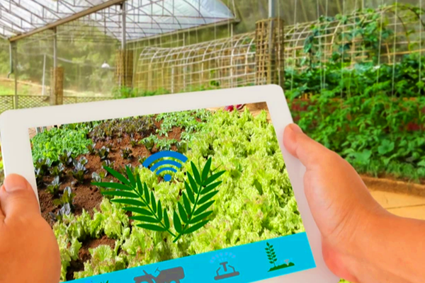 環(huán)境監(jiān)控系統，為農作物生長保駕護航