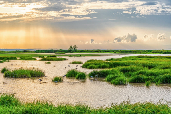 山東省日照生態(tài)環(huán)境監(jiān)測中心-CMA資質(zhì)增至391項(xiàng)