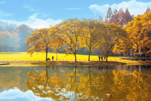 《內(nèi)蒙古自治區(qū)“十四五”應(yīng)對氣候變化規(guī)劃》（節(jié)選）