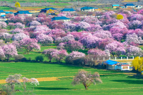 山東省打造生態(tài)環(huán)境監(jiān)測社會化服務(wù)平臺！
