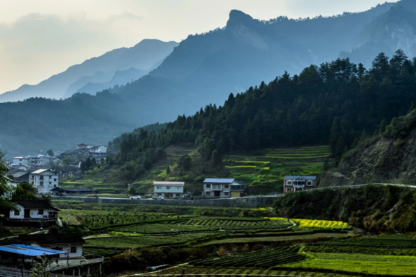 《河北省建設(shè)京津冀生態(tài)環(huán)境支撐區(qū)“十四五”規(guī)劃》印發(fā)！