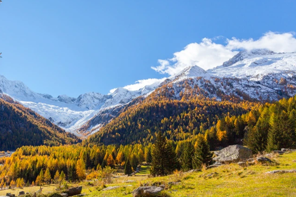 “十四五”需求升級，環(huán)境監(jiān)測企業(yè)應(yīng)如何臨機(jī)制勝？