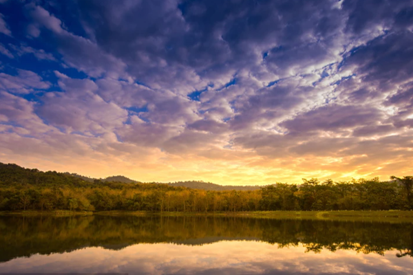 環(huán)境在線監(jiān)測(cè)系統(tǒng)的建設(shè)與應(yīng)用研究