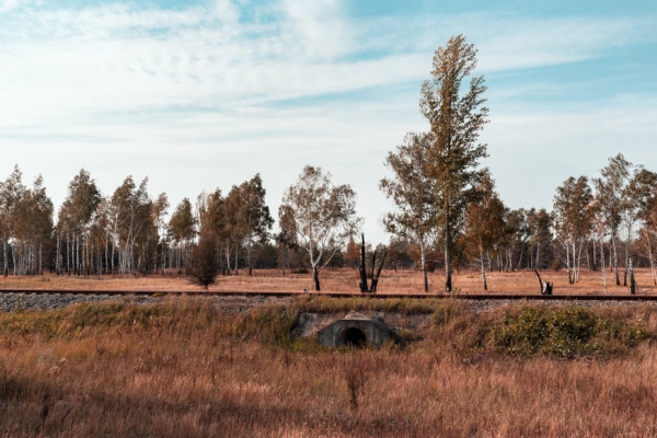聯(lián)合國報告：氣候變化將使空氣質(zhì)量惡化 危害人類健康