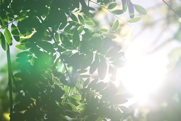 樓宇自控系統(tǒng)和環(huán)境監(jiān)測系統(tǒng)聯(lián)動(dòng)，確保辦公建筑更智能更舒適