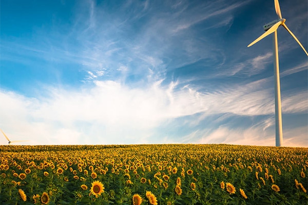 健康室內(nèi)環(huán)境需要監(jiān)測(cè)的參數(shù)和要求?