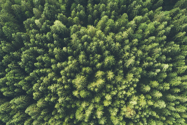 環(huán)境監(jiān)測(cè)系統(tǒng) 環(huán)境監(jiān)測(cè)系統(tǒng)