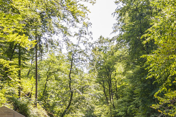 環(huán)境監(jiān)測(cè) 環(huán)境監(jiān)測(cè)